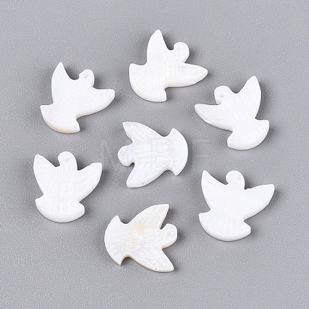 Natural Freshwater Shell Beads BSHE-T014-35-1