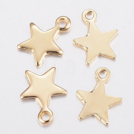 304 Stainless Steel Charms STAS-H436-51-1