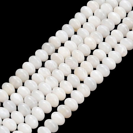 Natural Freshwater Shell Beads Strands SHEL-C010-04A-02-1