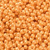 Glass Seed Beads SEED-L011-04A-06-3