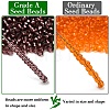 Indigo 11/0 Round Transparent Glass Seed Beads X-SEED-Q007-F57-2