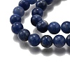 Round Natural Sodalite Beads Strands G-F222-39-10mm-4