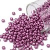 TOHO Round Seed Beads SEED-JPTR08-0563F-1