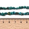 Natural HuBei Turquoise Bead Strands G-H345-A01-10-5