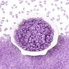 FGB Frosted Transparent Glass Seed Beads SEED-N013-06A-07-2