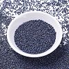 MIYUKI Delica Beads SEED-MY11-DB1054-2
