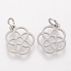 Tarnish Resistant 304 Stainless Steel Pendants LS-STAS-Q201-T454S-2