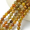 Dyed Natural Dragon Veins Agate Beads Strands G-C068-10mm-15-3