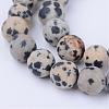 Natural Dalmatian Jasper Beads Strands G-Q462-6mm-05-1
