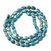 Natural Turquoise Beads Strands G-B159-A13-3