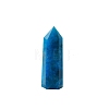 Point Tower Natural Apatite Home Display Decoration PW-WG91959-01-5