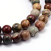 Natural Polychrome Jasper/Picasso Stone/Picasso Jasper Round Bead Strands G-J303-16-10mm-3