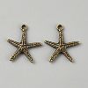 Tibetan Style Alloy Pendants FIND-WH0173-156C-AB-1