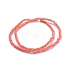 Electroplate Glass Beads Strands GLAA-F079-FR16-2