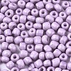 6/0 Glass Seed Beads SEED-S058-A-F411-3
