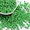 Baking Paint Glass Seed Beads X1-SEED-A032-02B-1