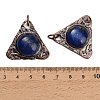 Dyed Natural Lapis Lazuli Pendants GG-CBACC2B-04R-03-2
