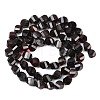 Natural Garnet Beads Strands G-P611-C28-01-3