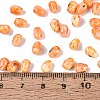 Picasso Glass Seed Beads SEED-N012-10B-4