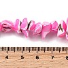 Natural Trochid Shell/Trochus Shell Beads Strands SHEL-B003-02E-4