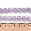 Natural Lavender Amethyst Beads Strands G-F306-11-10mm-01-3