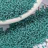 MIYUKI Round Rocailles Beads SEED-X0056-RR0435-4