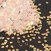 Plastic Sequins Beads PVC-R024-03B-1