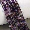 Natural Amethyst Beads Strands G-M420-A17-01-1