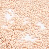 TOHO Japanese Seed Beads SEED-F002-2mm-763-2