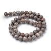 Natural Maifanite/Maifan Stone Beads Strands G-T055-10mm-01-2