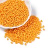 Baking Paint Glass Seed Beads SEED-T006-03N-3