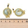 Natural Flower Amazonite Flat Round Shaped Brass Pendants KK-F887-03G-26-3