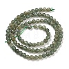 Natural Green Apatite Beads Strands G-G105-A02-03-3