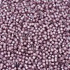 MIYUKI Delica Beads SEED-JP0008-DB1791-3