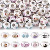 60Pcs 10 Styles Opaque Resin European Beads RPDL-YW0001-21-1