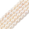 Natural Cultured Freshwater Pearl Beads Strands PEAR-I007-01B-01B-2