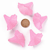 Transparent Acrylic Beads BSF796-C10-5