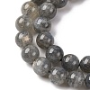 Natural Labradorite Beads Strands G-H326-01-8mm-4