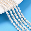 Natural Cultured Freshwater Pearl Beads Strands PEAR-N012-04L-01-1