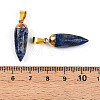 Natural Lapis Lazuli Pendants G-N345-01G-3