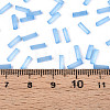 Glass Bugle Beads SEED-N007-28E-4