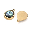 Natural Paua Shell Pendants SA-CBA11D7-27B-G-2
