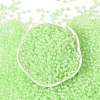 6/0 Luminous Glass Seed Beads X1-SEED-NH0001-01K-3