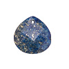 Natural Lapis Lazuli Pendants PW-WGA3F55-07-1