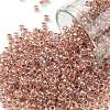 TOHO Round Seed Beads SEED-TR08-0784-1