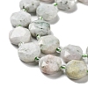 Natural Gemstone Beads Strands G-NH0004-017-4