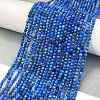 Natural Lapis Lazuli Beads Strands G-L587-A03-01-2