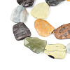 Natural Gemstone Beads Strands G-T143-20B-3