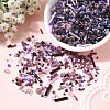 MIYUKI Seed Beads Mix X-SEED-Z005-01L-4
