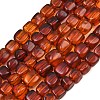 Natural Amber Beads Strands G-K426-A02-03-2